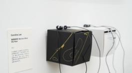 Caroline Lee 我及我所听